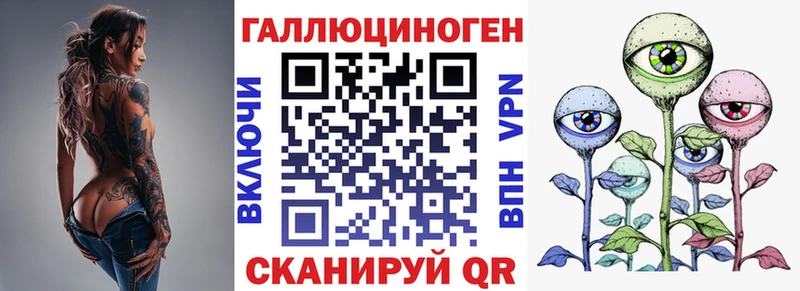 Галлюциногенные грибы Cubensis цены Усть-Джегута
